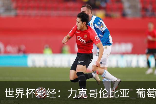 世界杯彩经：力克哥伦比亚 葡萄牙抢占榜首