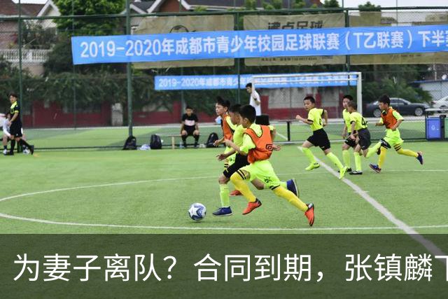 为妻子离队？合同到期，张镇麟下家4选1，广东2队有机会